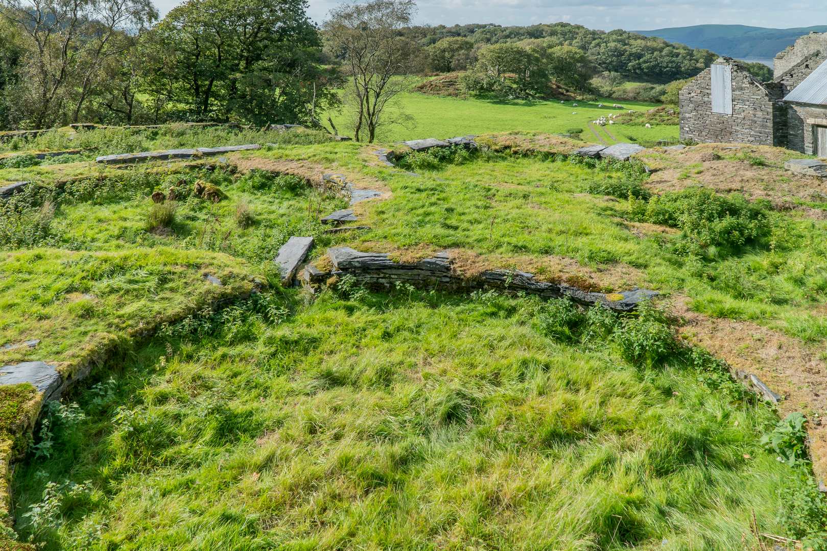 Bryndyfi dressing floors 25.9.18-3-29